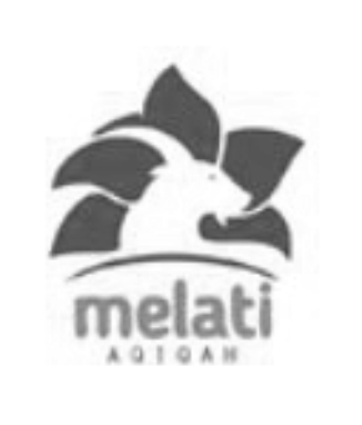 logo 1a